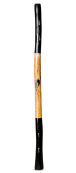 Brendan Porteous Didgeridoo (JW534)